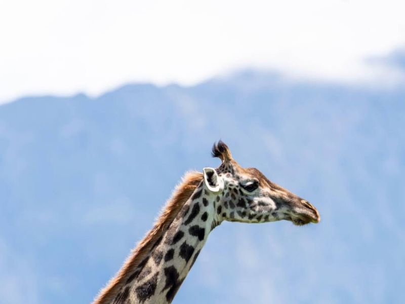 Arusha National Park
